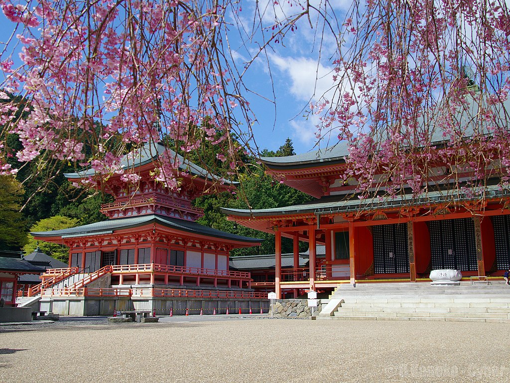 Enryaku-ji, the head temple of Tendai and Mount Hiei 桜と比叡山延暦寺 (Enryaku-ji with Cherry Blossoms) 28 April, 2013 - panoramio.jpg